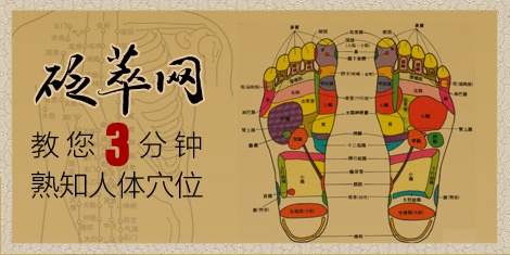 3分鐘熟知人體穴位